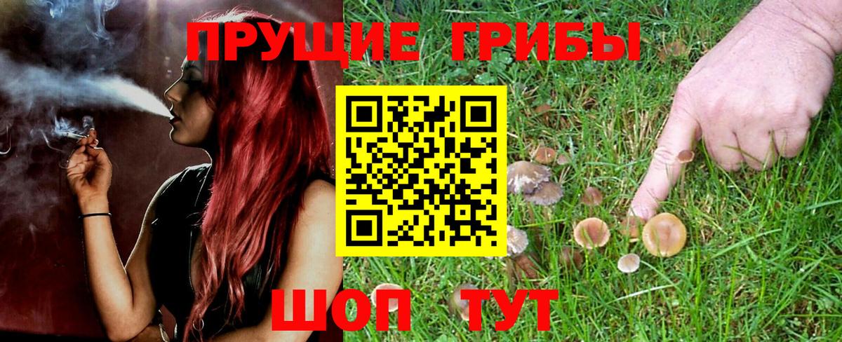 Псилоцибиновые грибы мицелий Гусь-Хрустальный