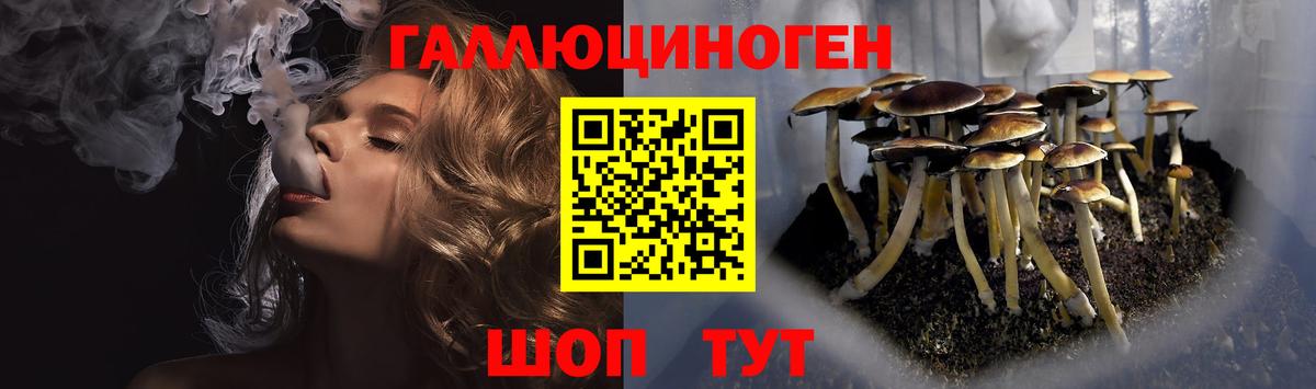 купить   Вход с VPN  Псилоцибиновые грибы Psilocybine cubensis  Гусь-Хрустальный  Псилоцибиновые грибы мухоморы 